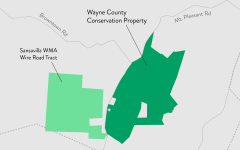 Wayne County Cons Property GA PR Dec2020 thumb